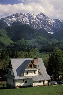 Cabin Prints: DDE-90034481