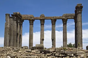 Ruins Collection: DDE-90034600