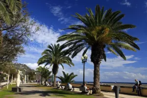 Promenade Prints: DDE-90034612