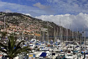 Sailing Prints: DDE-90034613