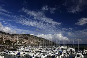 Sailing Prints: DDE-90034614