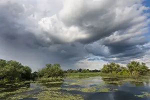 Flooding Prints: DDE-90034791