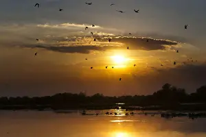 Flooding Prints: DDE-90034805