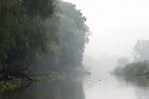 Canal Prints: DDE-90034810