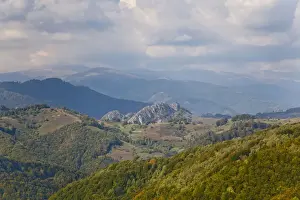 Carpathian Prints: DDE-90034875