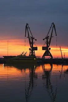 Cranes Prints: DDE-90035007