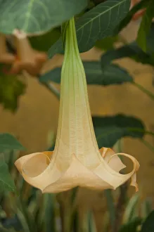 Images Dated 29th September 2010: DDE-90035144