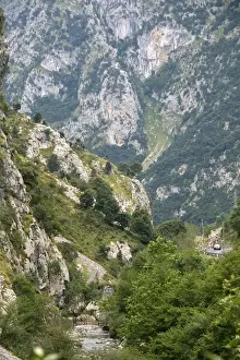 Peaks Prints: DDE-90035154