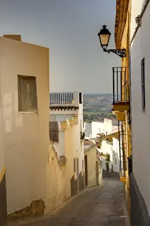 Arcos Prints: DDE-90035193