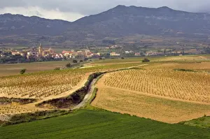 Mountainous Prints: DDE-90035234