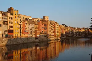 Reflected Prints: DDE-90035259