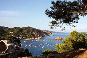 Located Prints: DDE-90035264