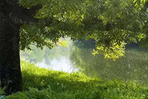 Riverside Prints: DDE-90035270