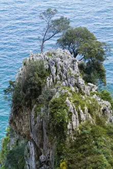 Cantabrian Prints: DDE-90035271