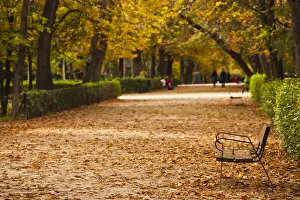 Madrid Prints: DDE-90035333