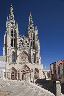 Cathedral Prints: DDE-90035353