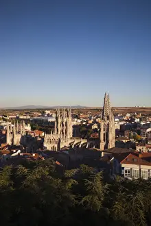 Cathedral Prints: DDE-90035392