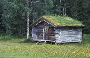 Cabin Prints: DDE-90035550