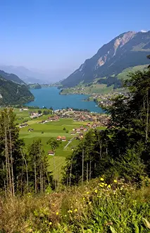 Interlaken Prints: DDE-90035564