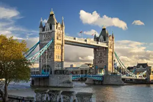 Thames Prints: DDE-90035785