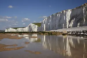 Limestone Prints: DDE-90035818