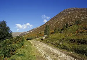 Loch Prints: DDE-90035975