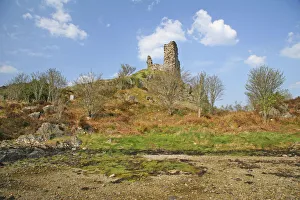Ruins Collection: DDE-90035987