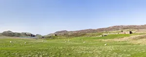 Settlement Prints: DDE-90036018