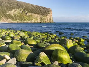 Orkney Prints: DDE-90036081