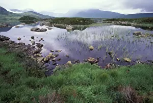 Highlands Prints: DDE-90036294