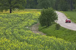 Latvia Prints: DDE-90036346
