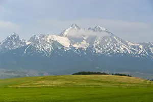 DDE-90036408