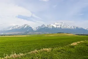 Slovakia Prints: DDE-90036409