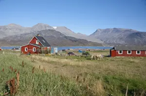 Fjord Prints: DDE-90036542