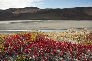 Kangerlussuaq Prints: DDE-90036557