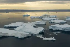 Fjord Prints: DDE-90036673