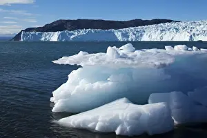 Icebergs Prints: DDE-90036700