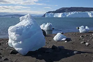 Icebergs Prints: DDE-90036701