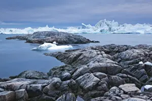 Fjord Prints: DDE-90036703