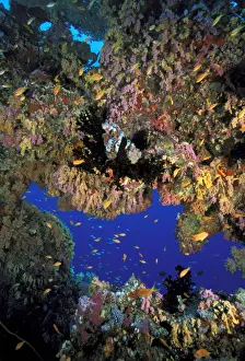 Waterscape Prints: DDE-90037308