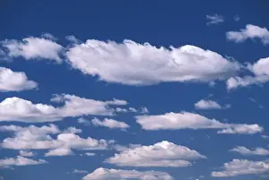 Heaven Prints: DDE-90037489