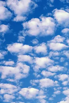 Heaven Prints: DDE-90037493