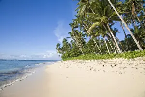 Deserted Prints: DDE-90037526