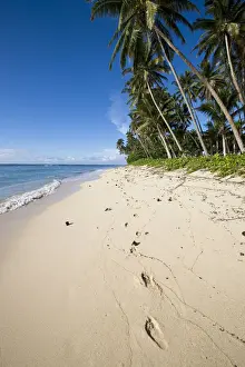 Deserted Prints: DDE-90037531