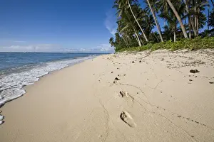 Deserted Prints: DDE-90037532