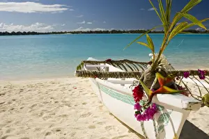 Canoe Prints: DDE-90037716