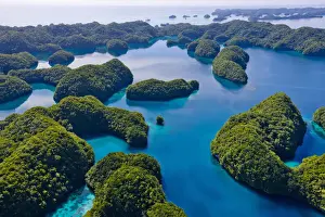 Palau Prints: DDE-90037745