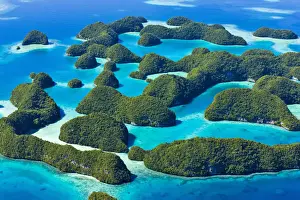 Palau Prints: DDE-90037751
