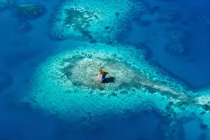 Palau Prints: DDE-90037752