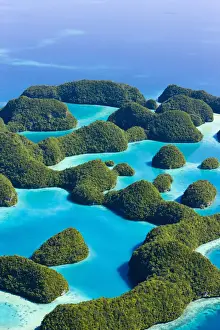 Palau Prints: DDE-90037755